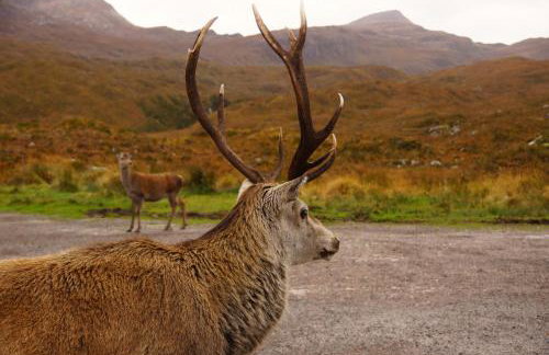 West Horizon holiday cottage - Foto 72