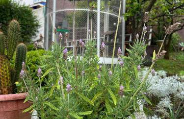 Mansão Casa Blanca em São Roque c/ 5 vagas garagem - Foto 34