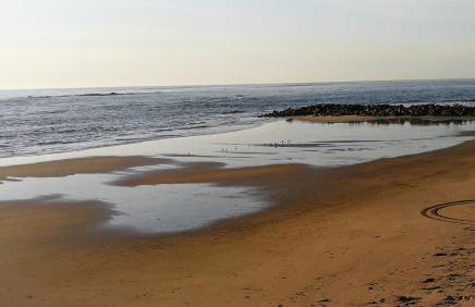 Casa Colmeia - Foto 35