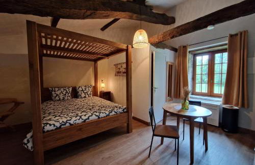 Château de la Mothe de Vicq - Allier, à proximité de Vichy - Foto 23