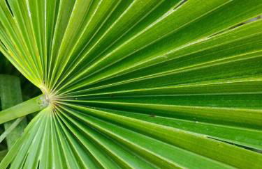 Le Jardin du Cannet - Foto 29