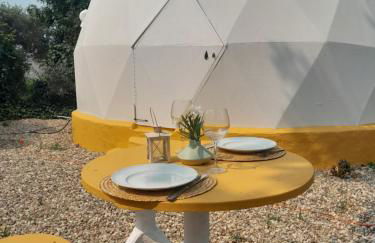 Páteo das Laranjeiras - Foto 4