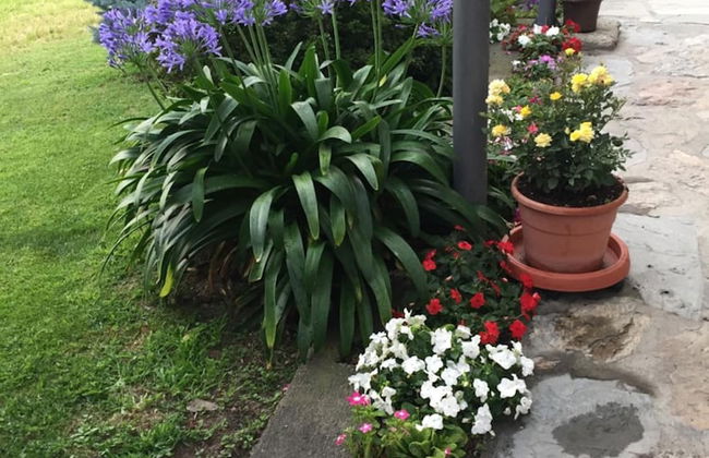 Agriturismo La Grange - Foto 38