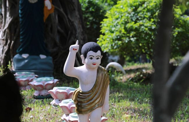 Hillside Homestay Hue - Meditation Studio - Photo 9