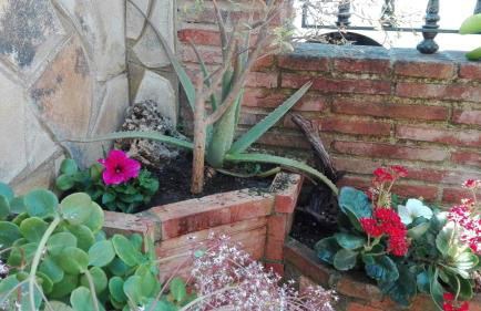 Casa rural Huerta San Miguel 2010 - Foto 29