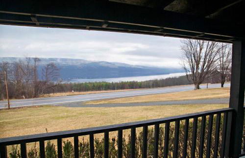 Purple Parrot - Foto 1