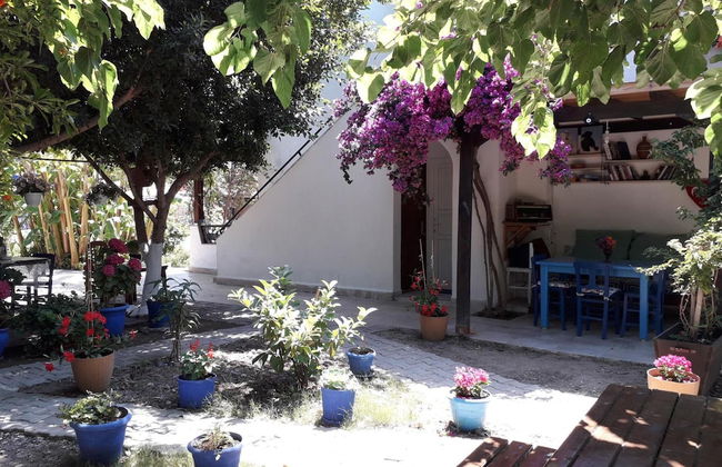 Paradise Gumusluk - Photo 23