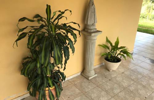 Chácara das Palmeiras - Piscina, Churrasqueira e Campo - Foto 35