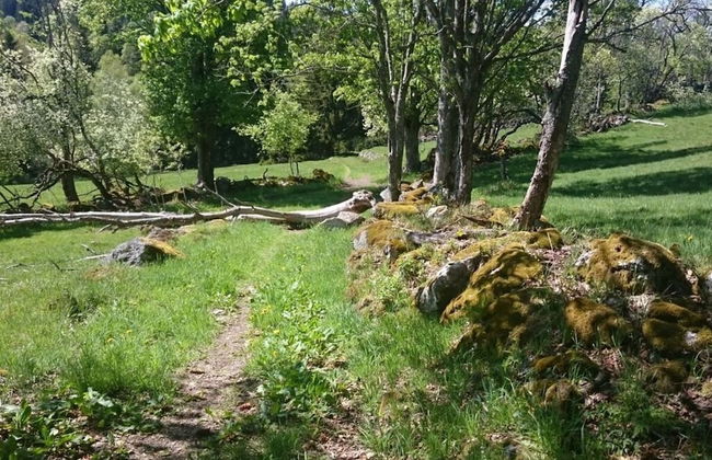 Nesterl Modern Retreat - Photo 31