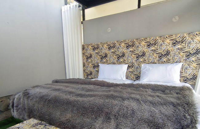 Zihin With Forest View - Cloud Nine And a Half - Photo 3