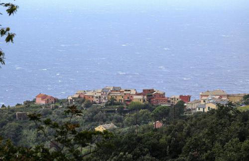 La notte sull'isola - Montaretto - tra il cielo e il mare - Foto 21
