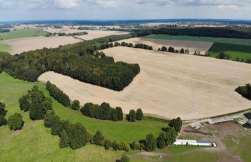 Luxuriose Ferienwohnung in Boddin mit Garten - Foto 47