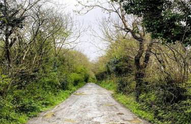 Olive's Cabin - Foto 18