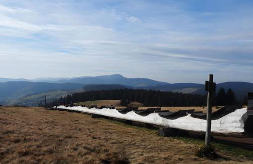 Ferienwohnung Bergahorn - Foto 20