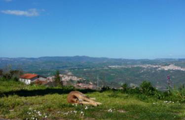 Agriturismo Il Regio Tratturo - Foto 10