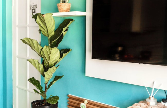 Caline VIP Beach Close - Foto 16