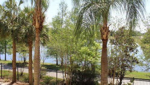 205 - Disney, Universal, Convention Center - Foto 2