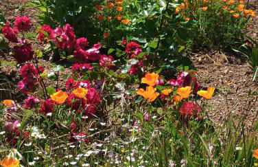 Casa Virginia - Foto 47