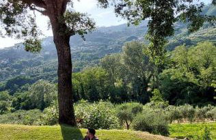 Agriturismo La Forestaria - Foto 20