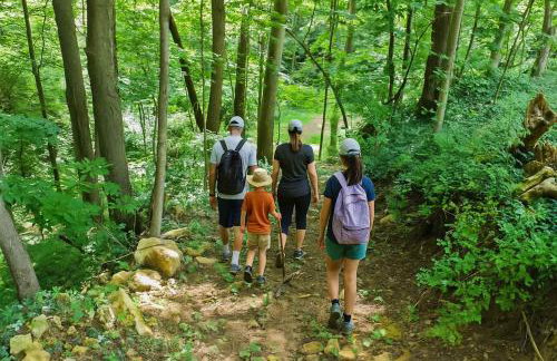 Pole Barn - Rustic 1BR Family Retreat with Open Views - Foto 6