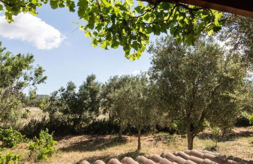 Abba Arrubia - Foto 26