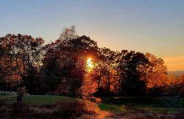 Chasing Views Tiny House - Photo 19