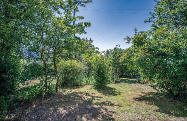 Palace Park - 2 Bedroom Bungalow - Manorbier - Photo 47