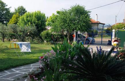 Summer House Dabovi - Foto 17