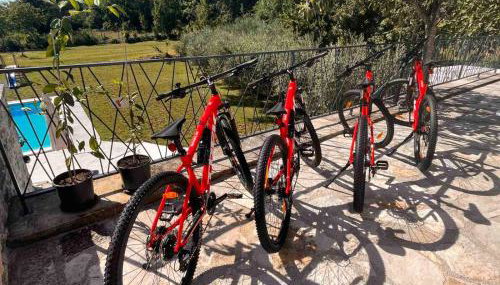 Holiday home Casa dei nonni with bicycles included - Foto 3