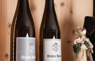 Huber unterm Baum - Foto 22