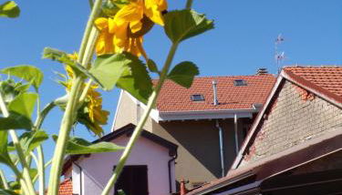 Casa Vacanze Terra di Mezzo - Foto 5, Garden, Garden view
