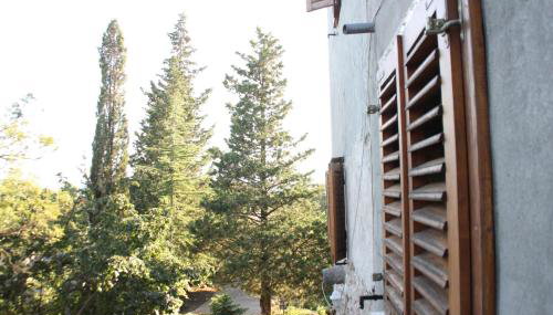 Romantisches Ferienhaus mit großem Garten 1200 qm, nah zu einem schönen Strand - Foto 3, Garden, Garden view