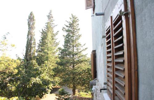 Romantisches Ferienhaus mit großem Garten 1200 qm, nah zu einem schönen Strand - Foto 3