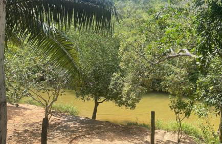 Rancho Pé de Serra - Foto 20