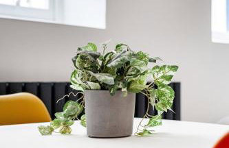 Baker Street Studio - 1 - Foto 1