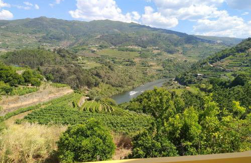 Casa Avós D'Ouro - Barqueiros, Mesão Frio, Douro - Photo 1