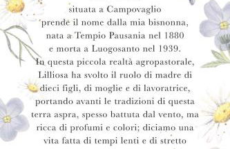 Casa Lilliosa - Foto 18