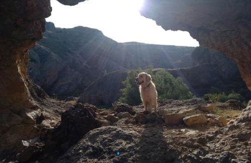 El nido del Mirlo - Foto 35