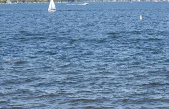 Water View Home - Foto 34