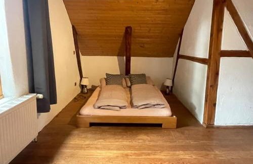 Deichliebe ÖKOlogisch - Foto 14