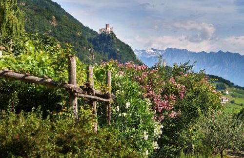 Weingut Stuck - Foto 40