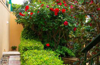 Villa Tzitzifies - Foto 30