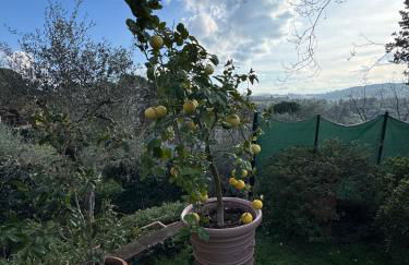 La Limonaia di Vanna - Foto 39