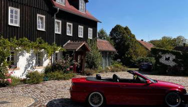 Apartment Cats Forest - Foto 2