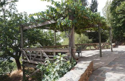 Cortijos Rey Fini - Foto 56