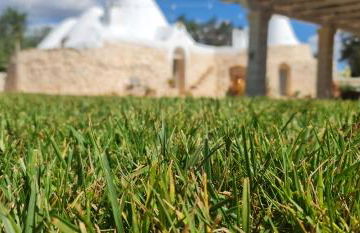 Pietre Vive Trulli del Salento - Foto 24