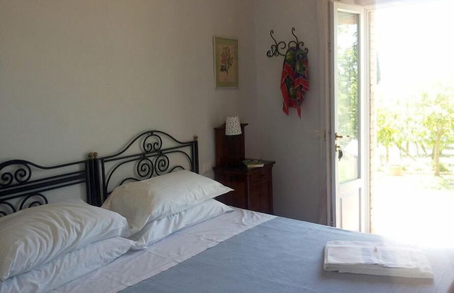 Podere San Quirico - Foto 3