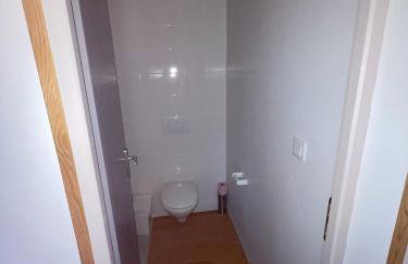 les bambous - Photo 10