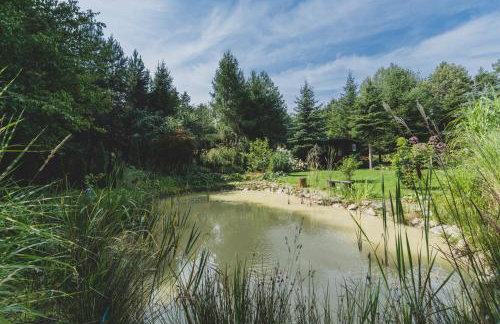 Leśna Enklawa - Foto 32