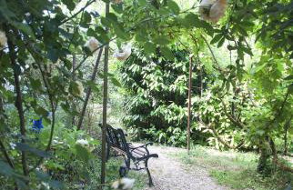 Beautiful 18th Century Whole Manor House with Sole Use Private Pool - Foto 43